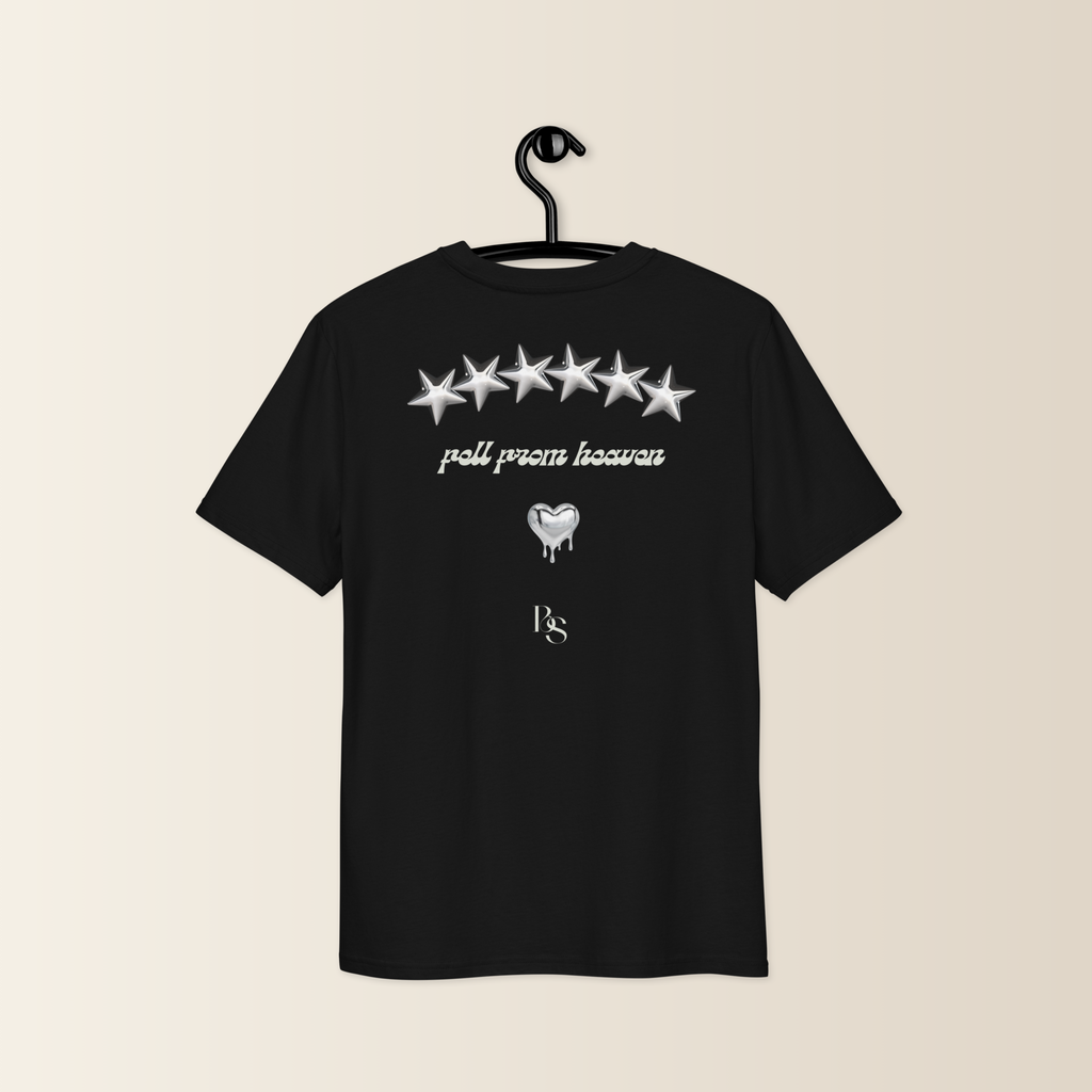 Fell From Heaven" Celestial Premium T-shirt Black Saint