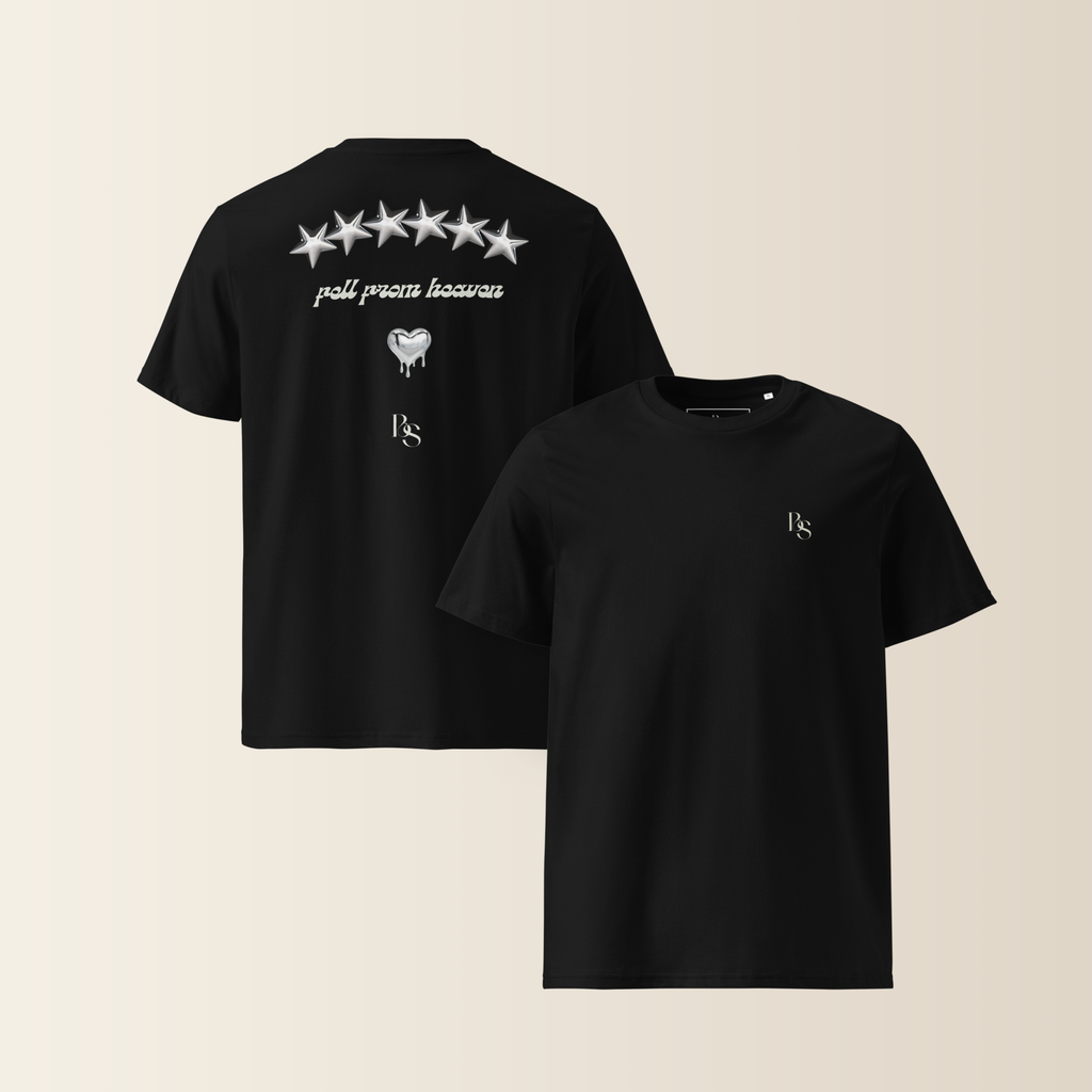 Fell From Heaven" Celestial Premium T-shirt Black Saint